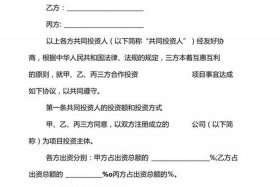 电商项目投资协议；电商项目投资协议书