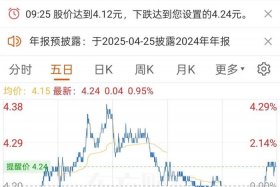 南极电商股票上市时间，南极电商股票上市时间是多少