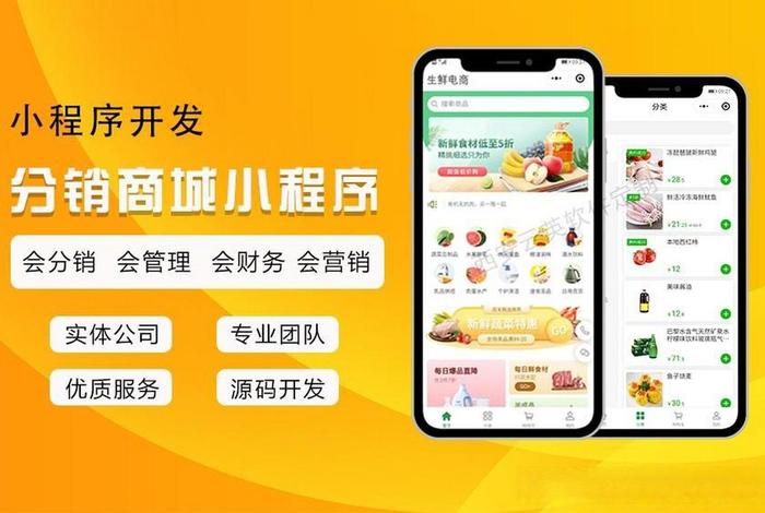 微电商是什么;微电商是主要做什么的 微电商是什么;微电商是主要做什么的