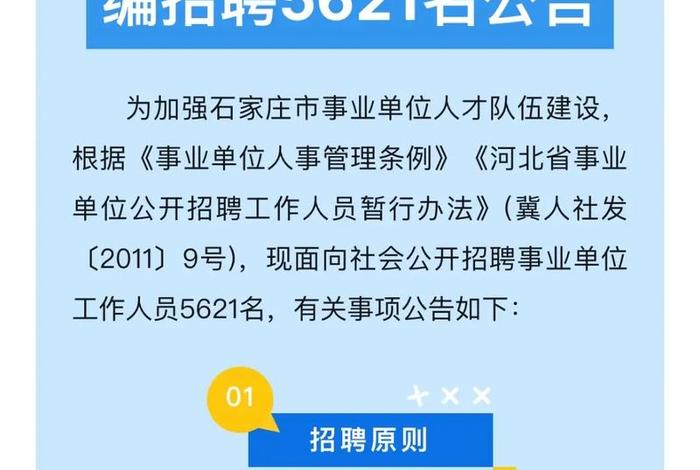石家庄电商运营招聘 - 石家庄电商运营招聘网