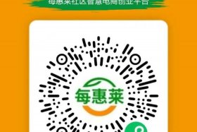 广东电商平台有哪些；广东电商平台有哪些品牌