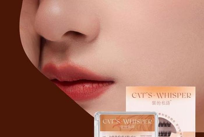 电商眼 电商眼睫毛保底多少钱