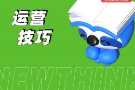 流量电商新商机、流量电商新商机是什么