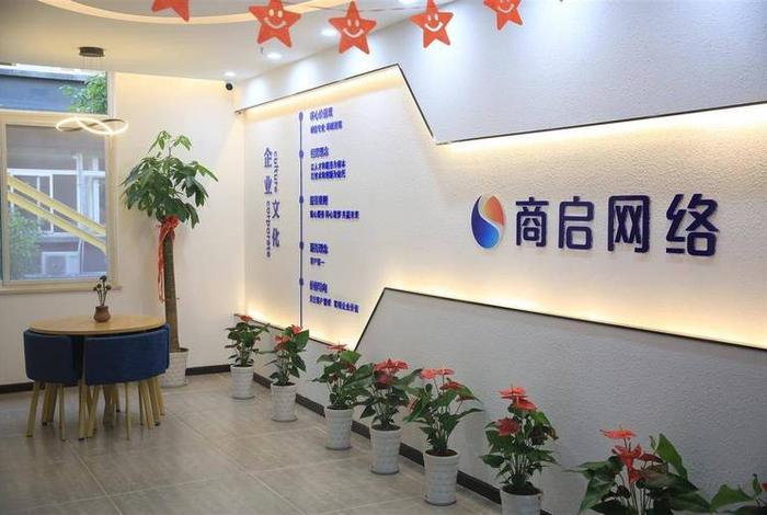 电商服务商公司;电商服务平台公司 电商服务商公司;电商服务平台公司