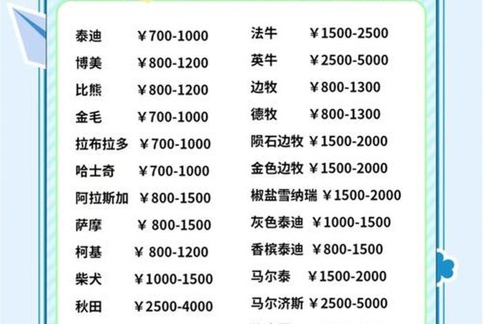 宠物用品电商取名字 宠物用品电商取名字怎么取 宠物用品电商取名字 宠物用品电商取名字怎么取