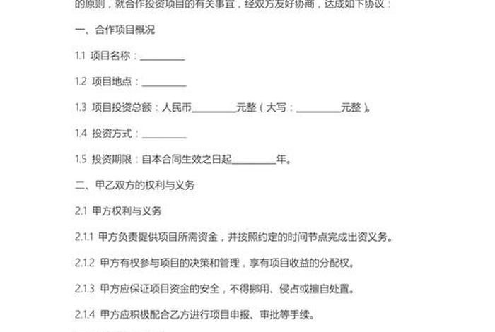 电商项目投资协议;电商项目投资协议书 电商项目投资协议;电商项目投资协议书
