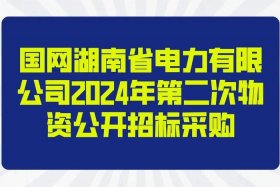 中电商务招标公司 中电商务招标公司招标查询官网