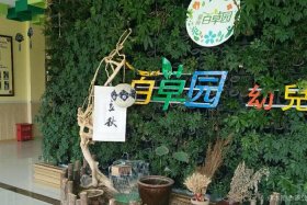 电商小院、电商小院取名最忌三个字