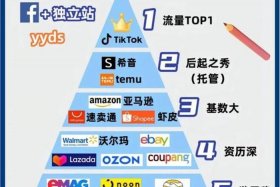 电商做什么类目比较好2025，电商做什么类目比较好2025年的