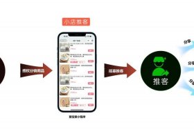 分销电商软件 分销电商软件下载