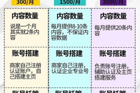 电商公司代运营后的收入怎么入账 电商公司代运营后的收入怎么入账的