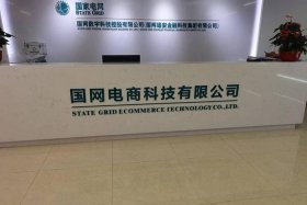 国网电商公司官网（国网电商公司官网电话）