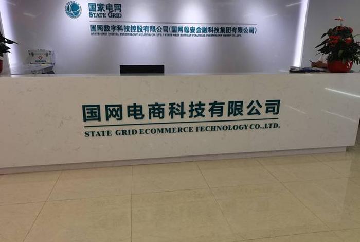 国网电商公司官网(国网电商公司官网电话) 国网电商公司官网(国网电商公司官网电话)
