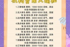 学习电商运营一般要多少学费、一般学电商运营要多少钱