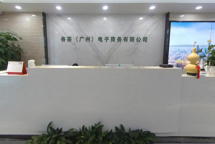 广州电商公司有哪些；广州电商公司有哪些小型