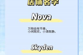 跨境电商英文店铺名字 - 跨境电商英文店铺名字推荐