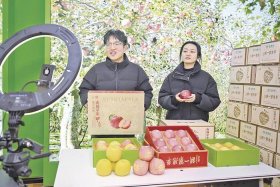 怎么在电商平台卖农产品，怎么在电商平台卖农产品呢