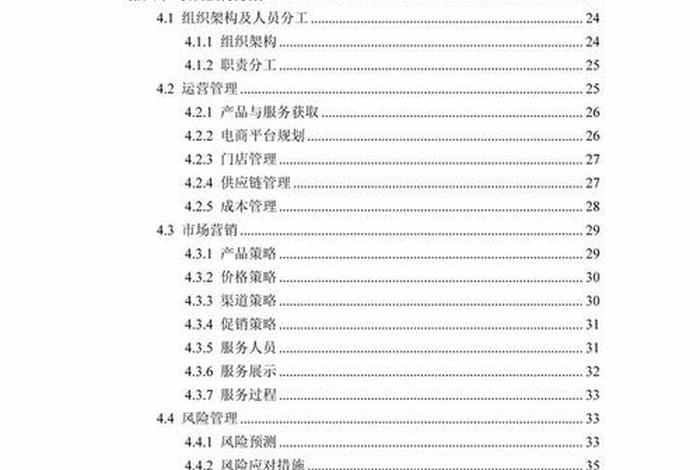 电商项目计划书代写、电商项目计划书代写多少钱 电商项目计划书代写、电商项目计划书代写多少钱