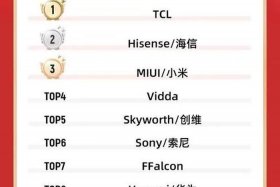 双十一电商平台成交额排名（双十一各电商成交额排名）