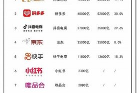 什么是电商平台企业 什么是电商平台企业名称