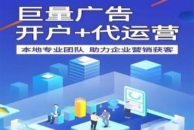 电商平台运营公司吉林省，电商平台运营公司吉林省有几家
