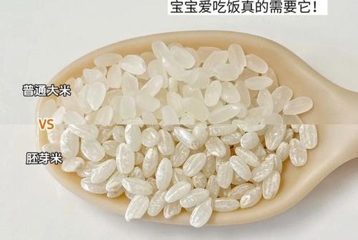 米米 米米
