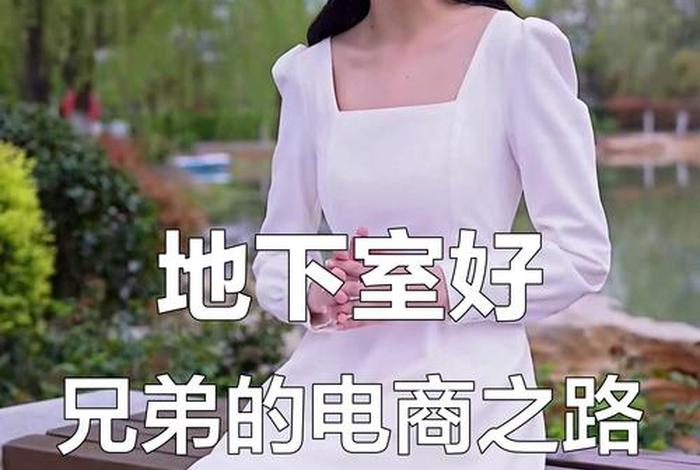 电商创业故事（电商创业故事素人）