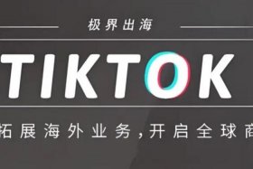 tk电商全称英文 - 电商英文简称