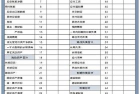 南极电商股份有限公司资产负债表、南极电商每股净资产
