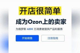 ozon电商平台入驻条件、ozon电商平台好做吗