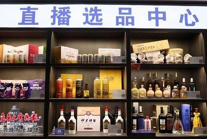 丝路电商合作先行区有那些地方;丝路互联网电子商务有限公司 丝路电商合作先行区有那些地方;丝路互联网电子商务有限公司