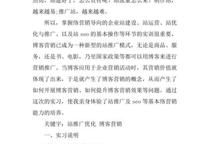 电商网站设计与策划、电商网站设计与策划实训报告