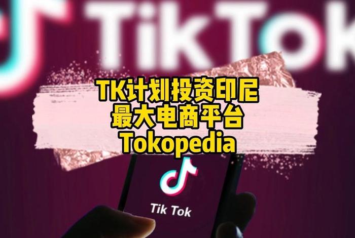 印尼电商平台ebrun 印尼电商平台tokopedia怎么入驻 印尼电商平台ebrun 印尼电商平台tokopedia怎么入驻