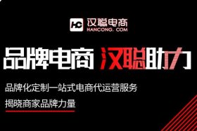 汉聪电商网店运营是真的假的（汉聪电商网店运营是真的假的啊）