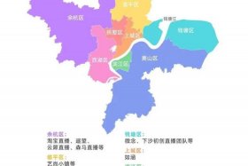 杭州的电商平台有哪些（杭州的电商平台有哪些品牌）