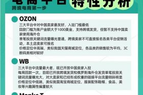 俄罗斯跨境电商发展情况调研报告；俄罗斯跨境电商市场调研报告