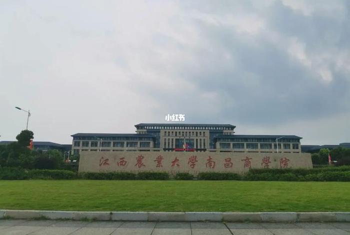 红商学院 - 红商学院小红书怎么样