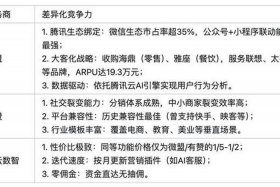 电商saas软件公司排名 电商saas软件公司排名前十