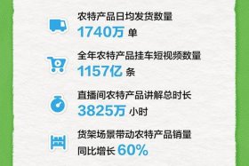双11各大电商平台销售数据,农产品数据 2020双11各大电商平台销售数据