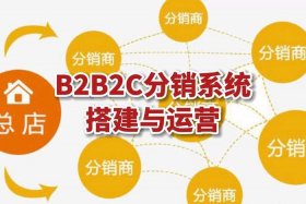 b2c电商平台，b2c电商平台开发公司