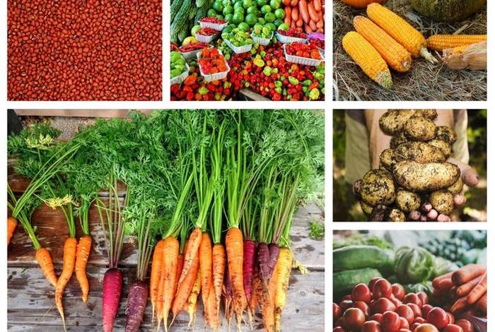农产品有哪些 - 初级农产品有哪些 农产品有哪些 - 初级农产品有哪些