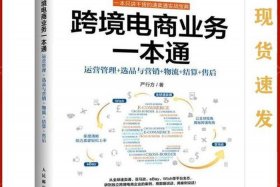 跨境电商运营从入门到精通 跨境电商运营从入门到精通 严行方