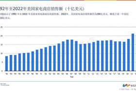 家电电商运营，电商运营前景怎样