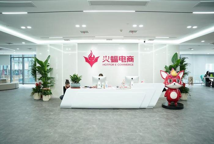 武汉火蝠电商代运营靠谱吗 - 武汉火蝠电子商务 武汉火蝠电商代运营靠谱吗 - 武汉火蝠电子商务