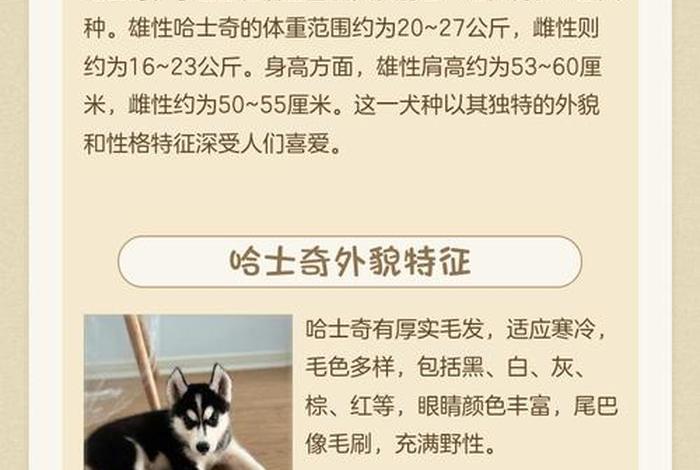 电商插件哈士奇，电商插件哈士奇怎么下载评价