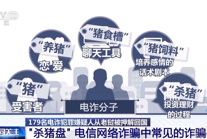 跨境洗钱案(跨境洗钱案主犯) 跨境洗钱案(跨境洗钱案主犯)