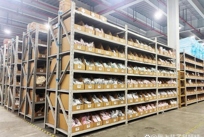 电商云仓的坑在哪里 电商云仓是做什么的 电商云仓的坑在哪里 电商云仓是做什么的