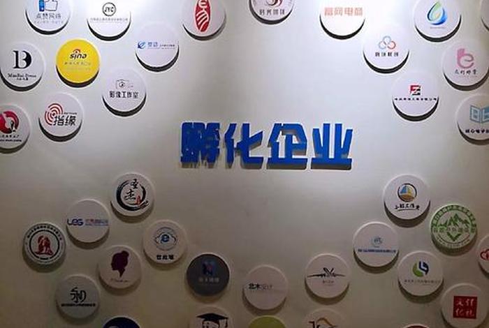 上海师大电商公司排名 - 上海师大电商公司排名多少 上海师大电商公司排名 - 上海师大电商公司排名多少