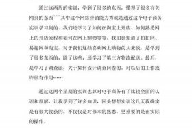 大学生跨境电商实训个人总结心得 - 大学生跨境电商实训个人总结心得感悟
