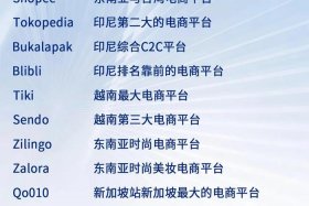 全球电商亚马逊临沂平台；全球电商亚马逊临沂平台有哪些